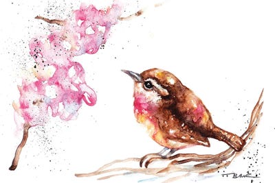 Wren And Blossom by BebesArts framed canvas print