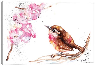 Wren And Blossom Canvas Art Print - Wrens