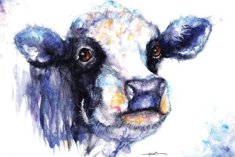 Black And White Cow