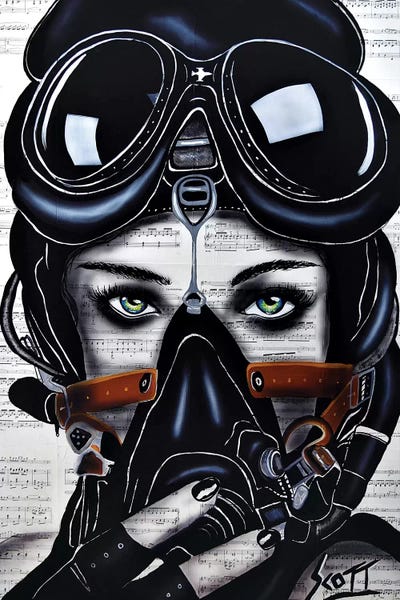 Flight by Brandon Scott framed canvas print