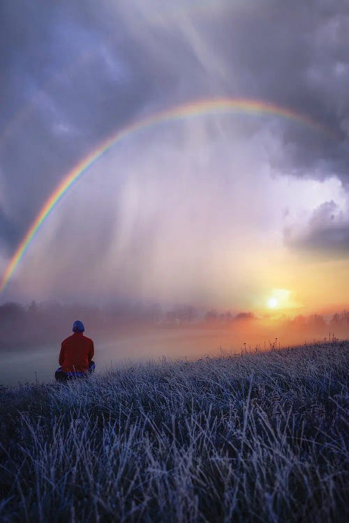 Frozen Rainbows by Brent Shavnore wall art