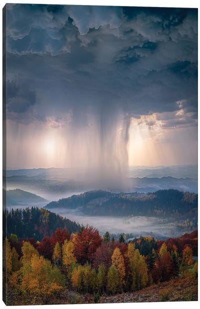 Autumn Downpour Canvas Art Print - Aerial Photography