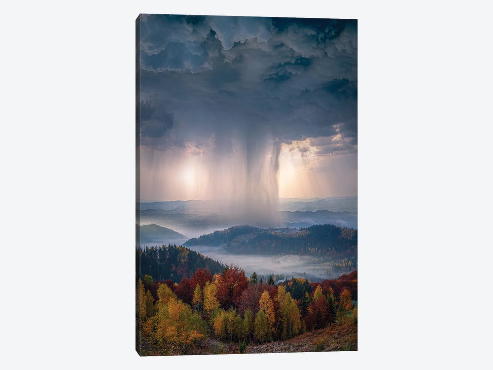 Autumn Downpour 1-piece Canvas Print