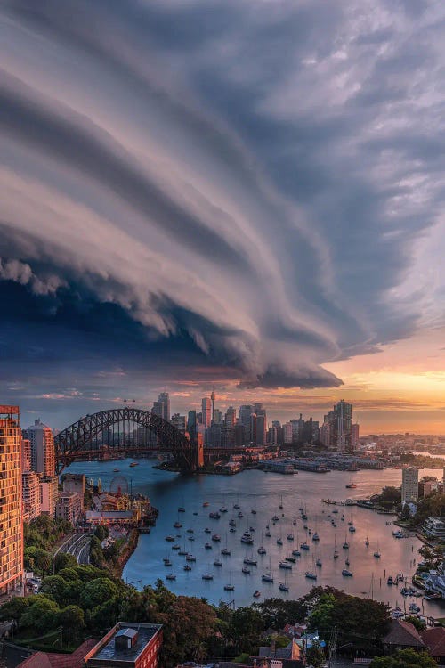 Sydney Shelf