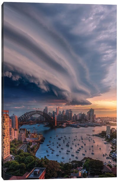 Sydney Shelf Canvas Art Print - New South Wales Art