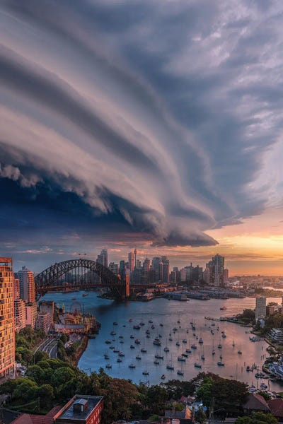 Brent Shavnore: Sydney Shelf by Brent Shavnore
