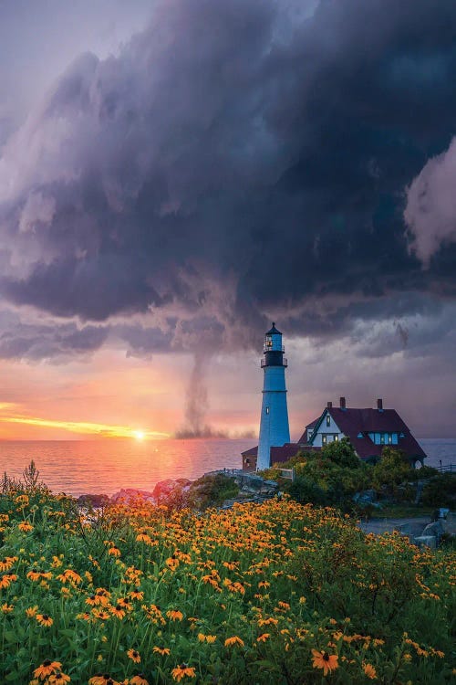 Maine Spring by Brent Shavnore wall art