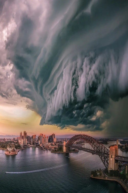 Sydney Wedge by Brent Shavnore wall art