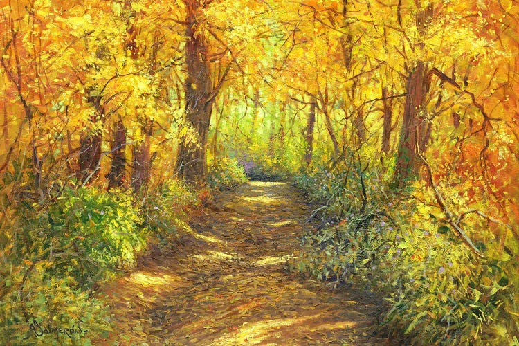 Bosque II by Benito Salmeron wall art