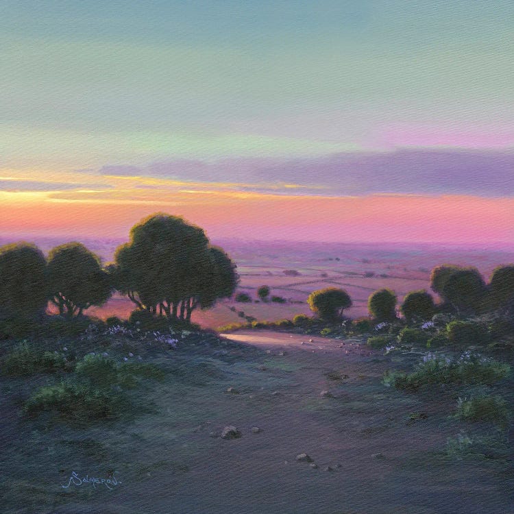 Campo I by Benito Salmeron wall art