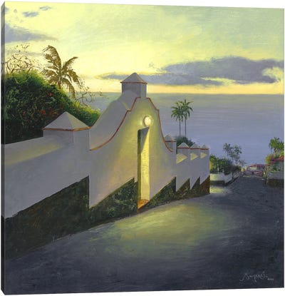Cuesta De La Villa -Tenerife Canvas Art Print - Benito Salmeron
