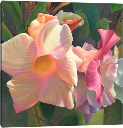 Flor I Canvas Art Print - Benito Salmeron