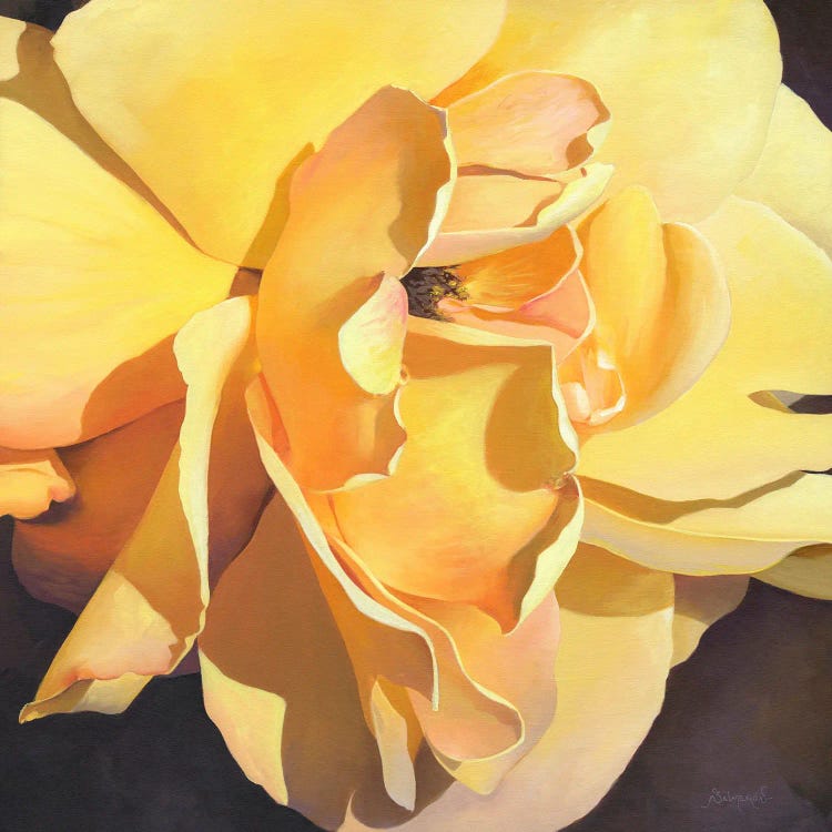 Flor V by Benito Salmeron wall art