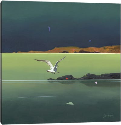 Gaviotas II Canvas Art Print - Gull & Seagull Art