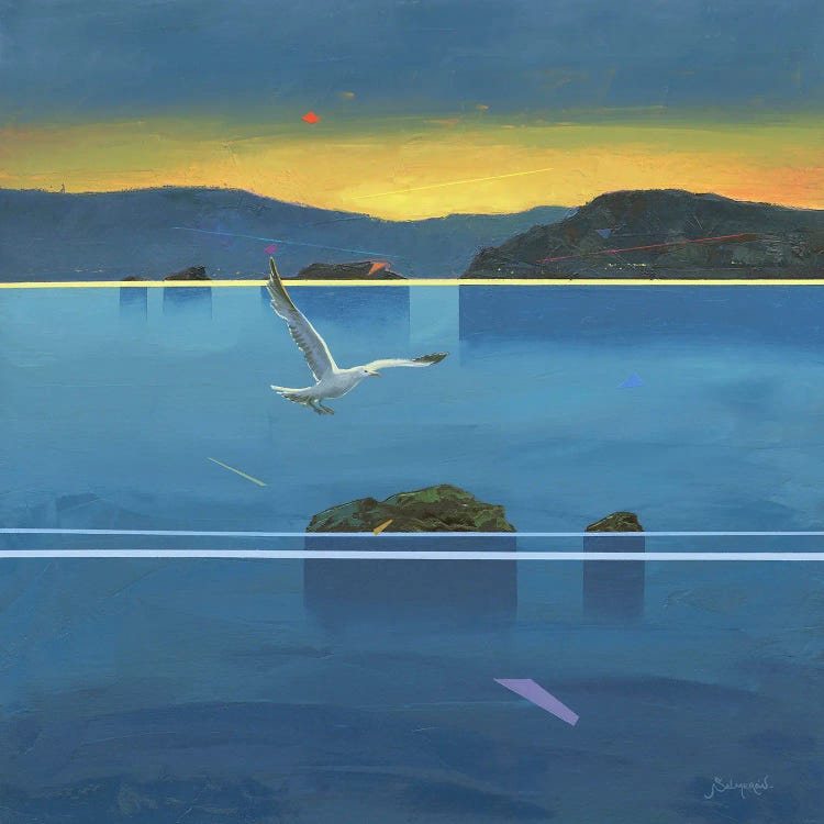 Gaviotas IV