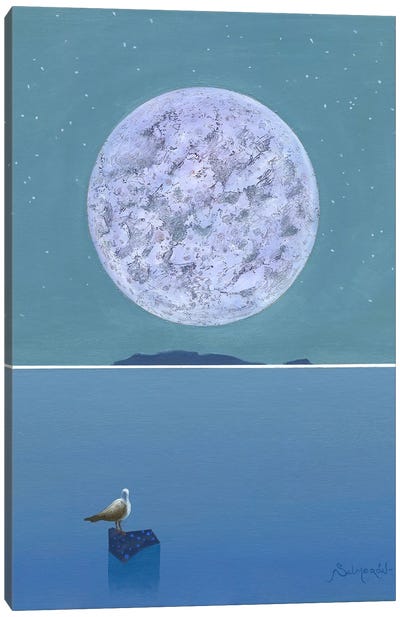 Luna IX Canvas Art Print - Gull & Seagull Art