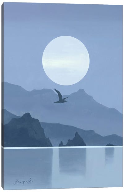Sol V Canvas Art Print - Gull & Seagull Art
