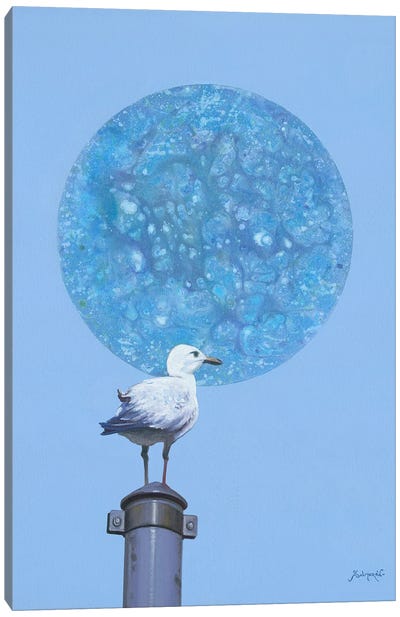 Sol VI Canvas Art Print - Gull & Seagull Art