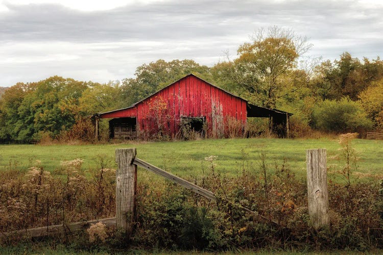 Down On The Farm