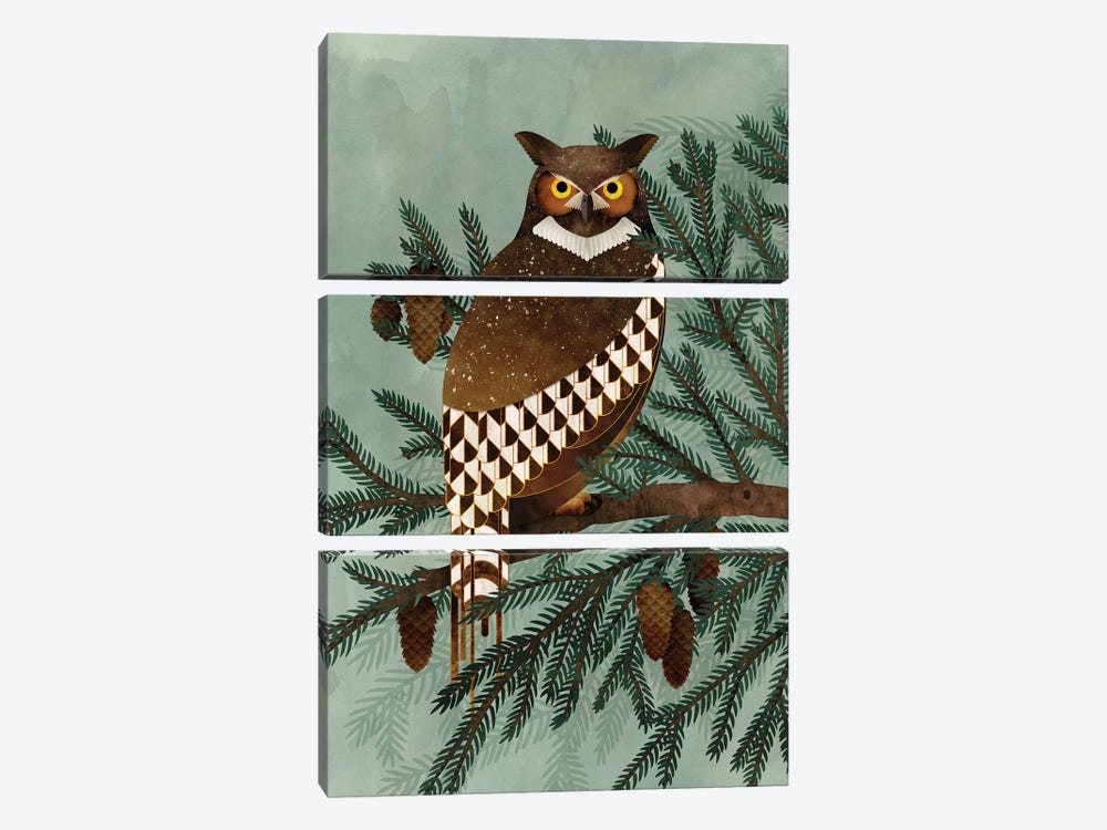 Horned Owl In The Pines by Michelle Li Bothe 3-piece Canvas Print
