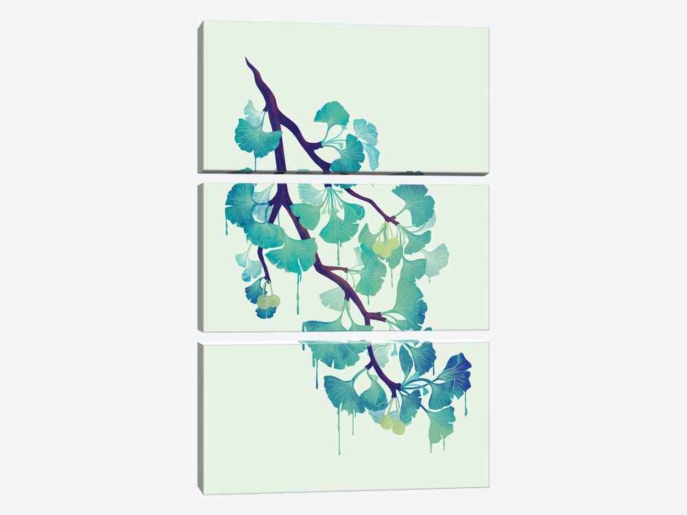 O Ginkgo (In Green) by Michelle Li Bothe 3-piece Canvas Print