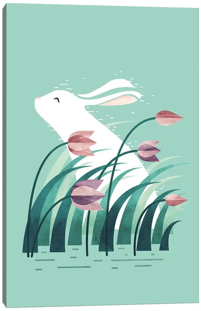Rabbit, Resting Canvas Art Print - Michelle Li Bothe