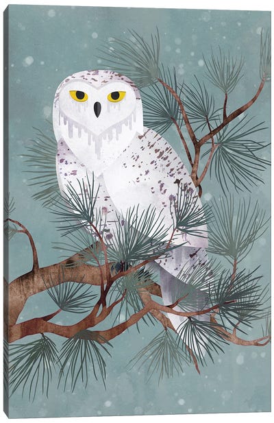 Snowy Canvas Art Print - Owl Art