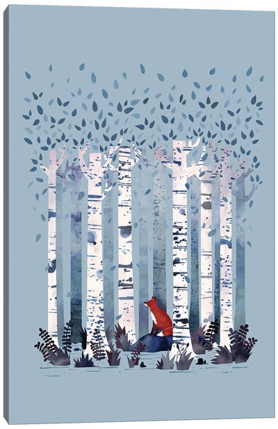 The Birches (On Blue) Canvas Art Print - Fox Art