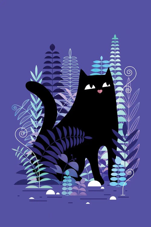 The Ferns (Black Cat)