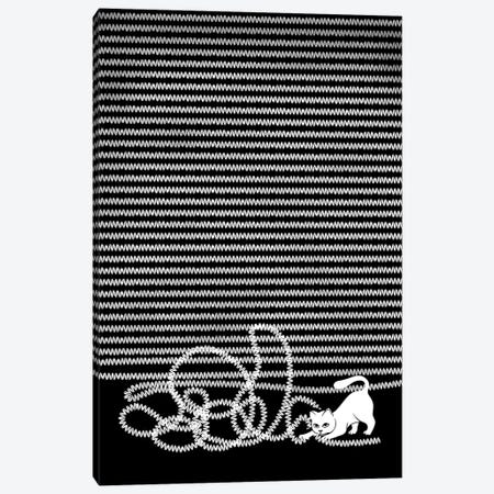 Unravel (Black And White) Canvas Print #BTE61} by Michelle Li Bothe Canvas Art