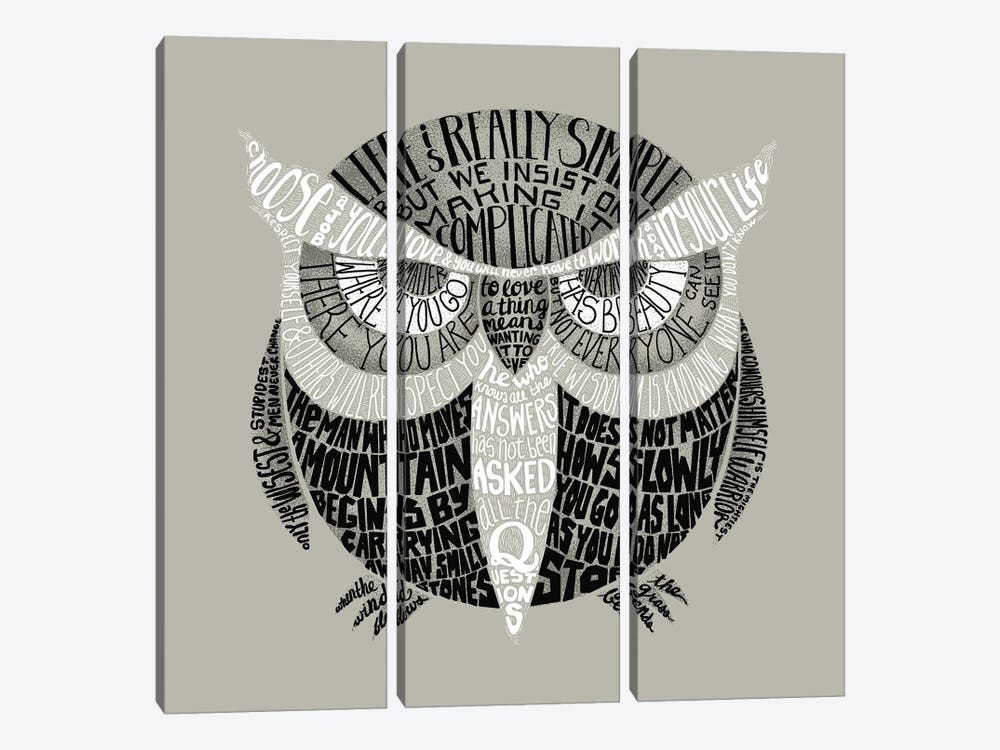 Wise Old Owl Says by Michelle Li Bothe 3-piece Canvas Artwork