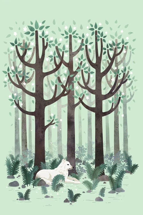 White Wolf In The Woods