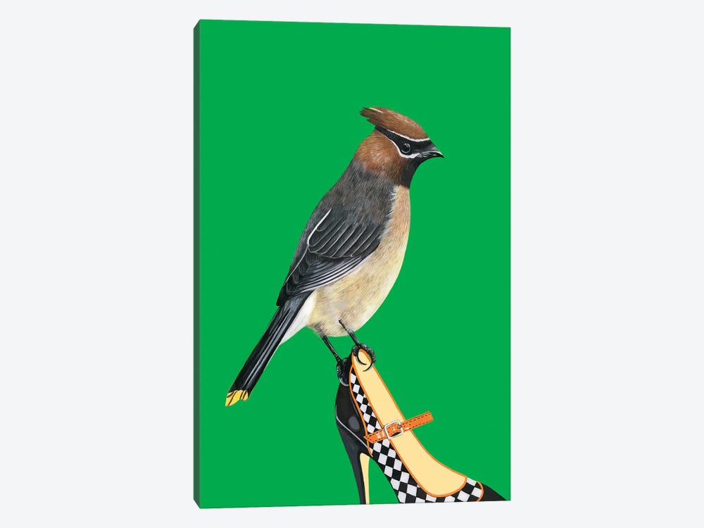 Cedar Waxwing Bird On Shoe by Jackie Besteman 1-piece Canvas Art Print