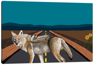 Coyote Canvas Art Print - Coyote Art