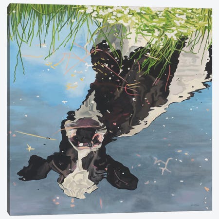 Cow Reflection Canvas Print #BTN10} by Clara Bastian Canvas Wall Art