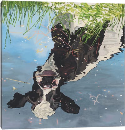 Cow Reflection Canvas Art Print - Clara Bastian