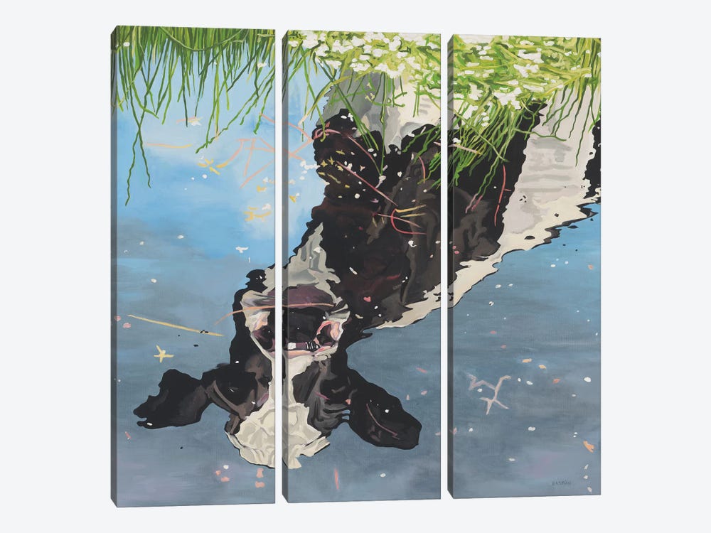 Cow Reflection by Clara Bastian 3-piece Canvas Art