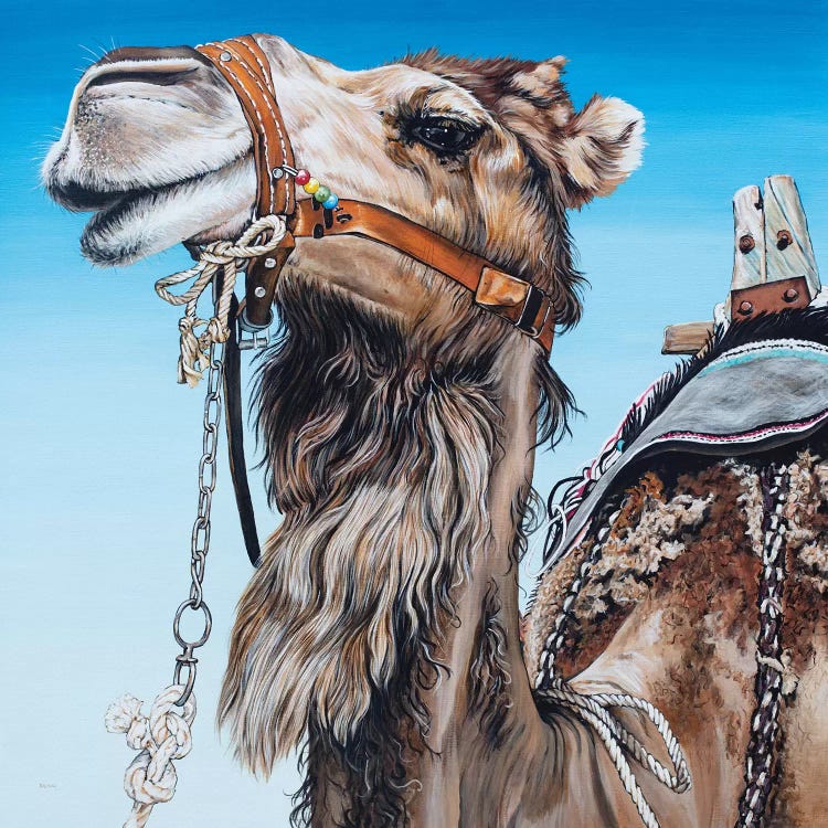 Dromedary by Clara Bastian wall art
