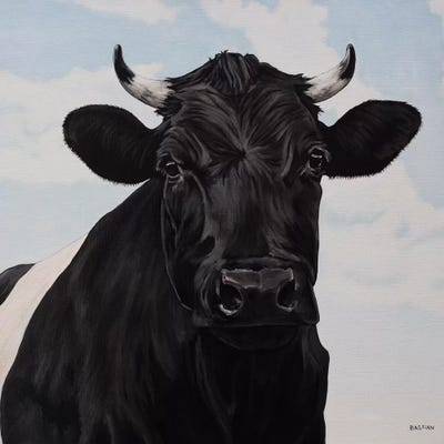 Dutch Belted Cow by Clara Bastian acrylic art print