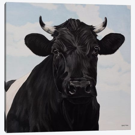 Dutch Belted Cow Canvas Print #BTN14} by Clara Bastian Canvas Art Print