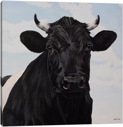 Dutch Belted Cow Canvas Art Print - Clara Bastian