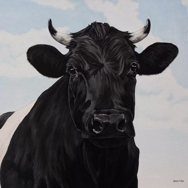 Dutch Belted Cow