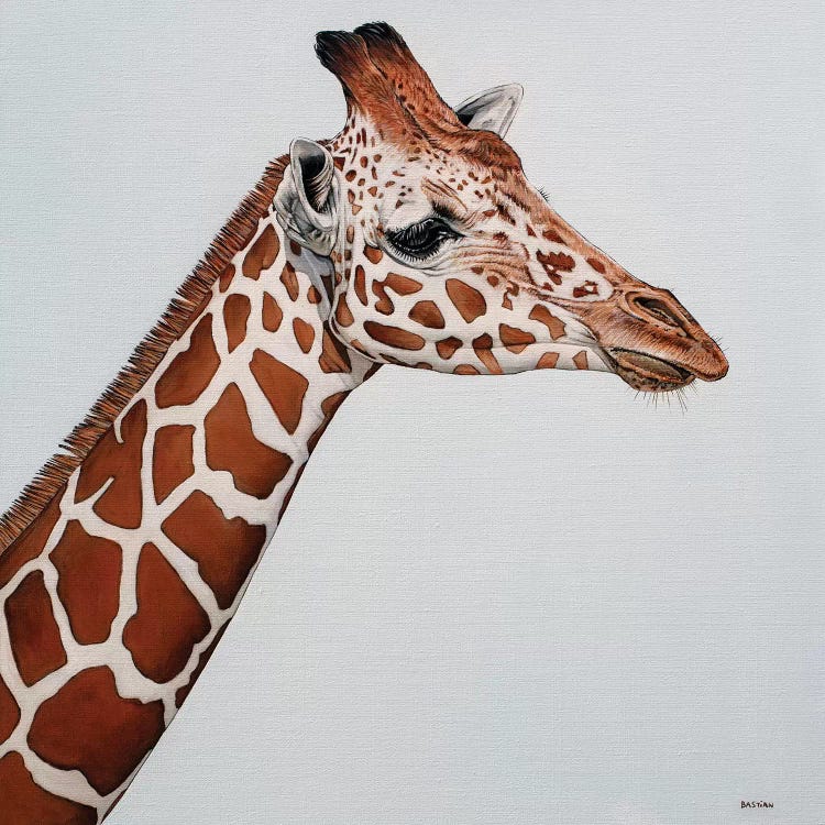 Giraffe by Clara Bastian wall art