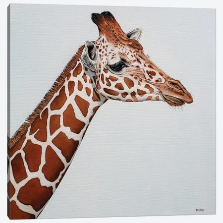 Giraffe Canvas Print #BTN18} by Clara Bastian Canvas Art