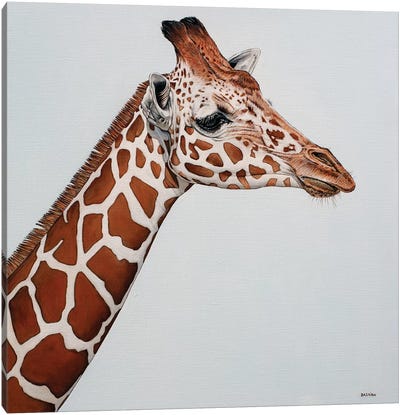 Giraffe Canvas Art Print - Clara Bastian