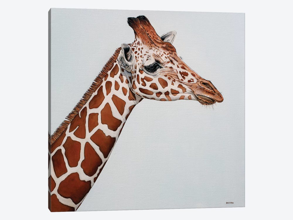 Giraffe by Clara Bastian 1-piece Canvas Wall Art
