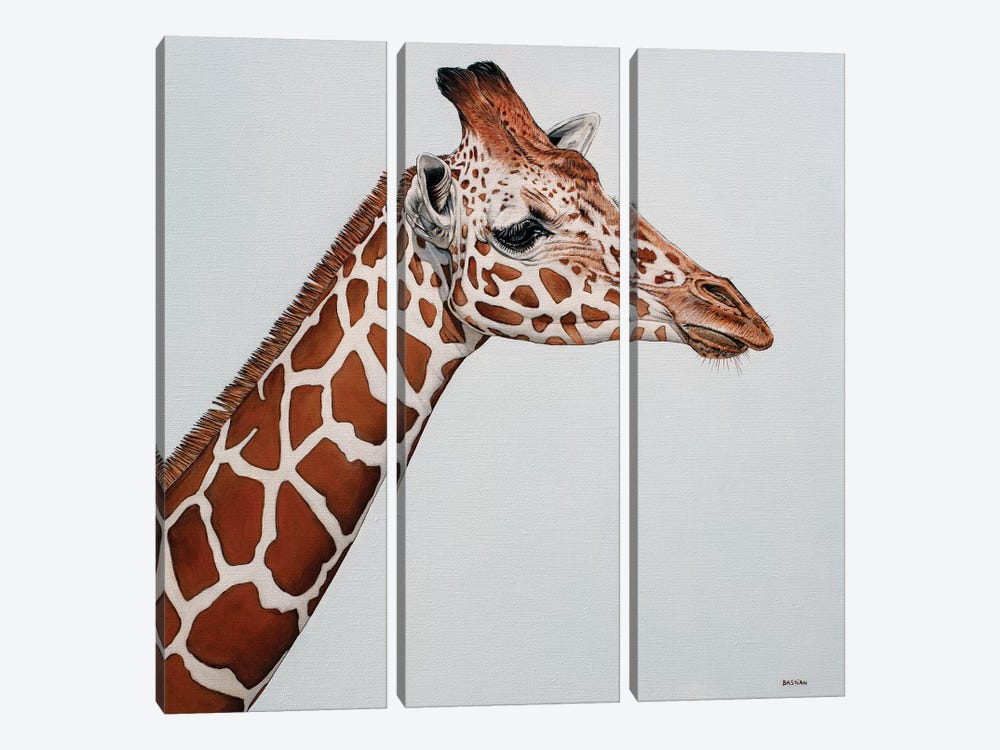 Giraffe by Clara Bastian 3-piece Canvas Art