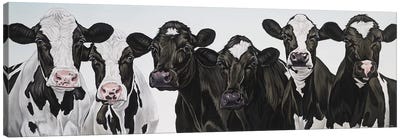 Herd Of Cows Canvas Art Print - Best Selling Animal Art