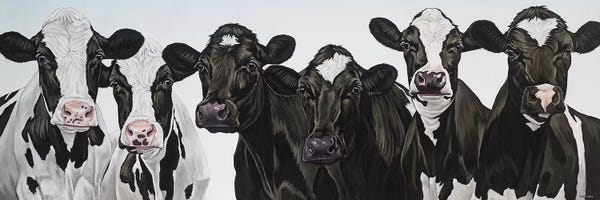 Farm Animals: Herd Of Cows by Clara Bastian
