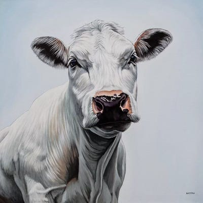 Blanche by Clara Bastian acrylic art print